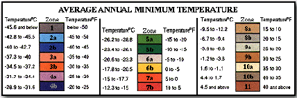 Zone Temperature Chart